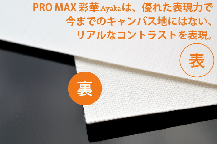 特別価格 インクジェットキャンバス 「PROMAX 彩華」 A3 （10枚入）１冊 価格は安く-css.edu.om