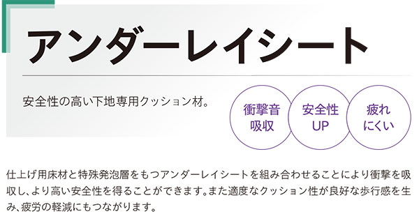 特別送料無料 ウール 防炎 防虫 防ダニ 抗菌 制電 ショーン 約300 0cm シンコール オーダーカーペット ドット 水玉 北欧 ナチュラル ホルムアルデヒ 希少 大人気 Aguacatesechartea Com