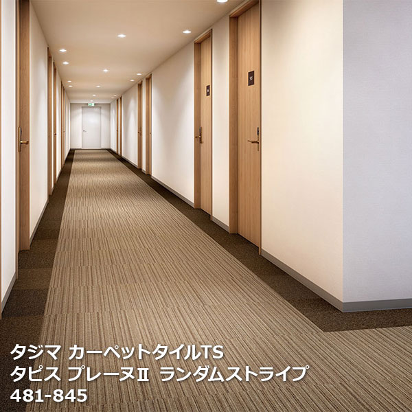 タピスプレーヌ2 ランダムストライプ タジマ タイルカーペットTS 481-841~481-846 50cm角 16枚/ケース 販売 ｜お部屋の大将