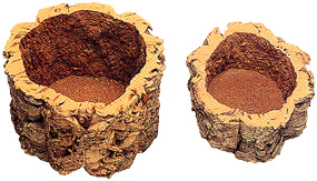 楽天市場 園芸用コルクバージンコルクプランター 大 1ケース 2個 お部屋の大将