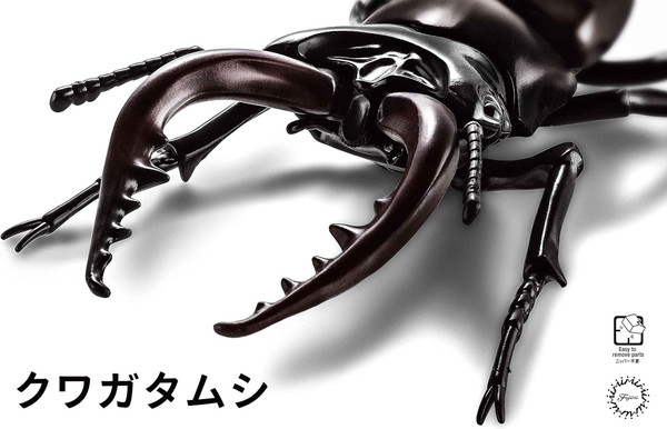 クワガタ虫　　模型 4968728171241.jpg