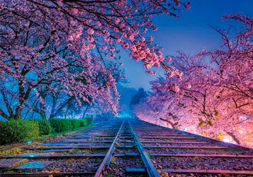 【KAGAYA おりひめ】Vega 超激レア　1000ピース　光るジグゾーパズル KAGAYA おりひめ Vega 超激レア 1000ピースパズル 美麗 KAGAYA