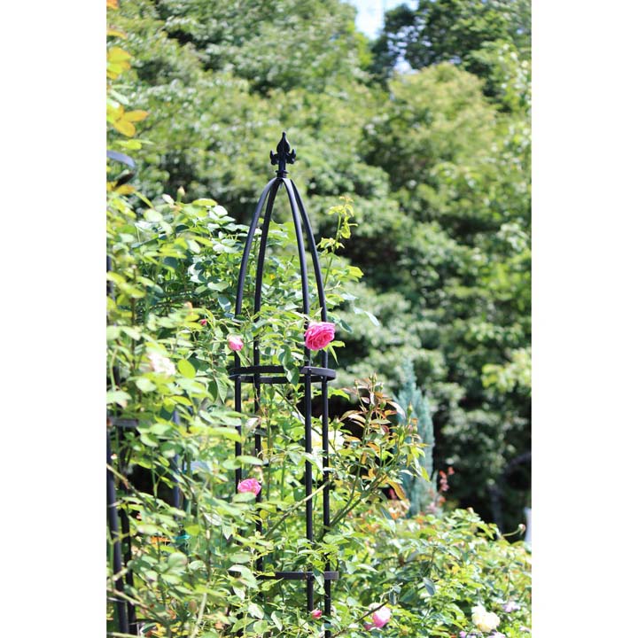 G Story オベリスクスリム バラやクレマチスなどのつる性植物に D ガーデニング ブラック Gstr Rc15