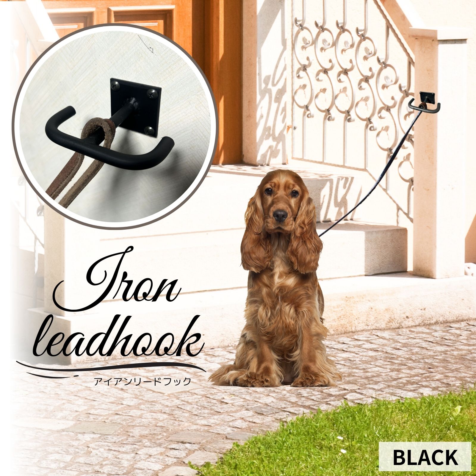 楽天市場】ワンちゃんフック リードフック 犬用 フック ドッグ