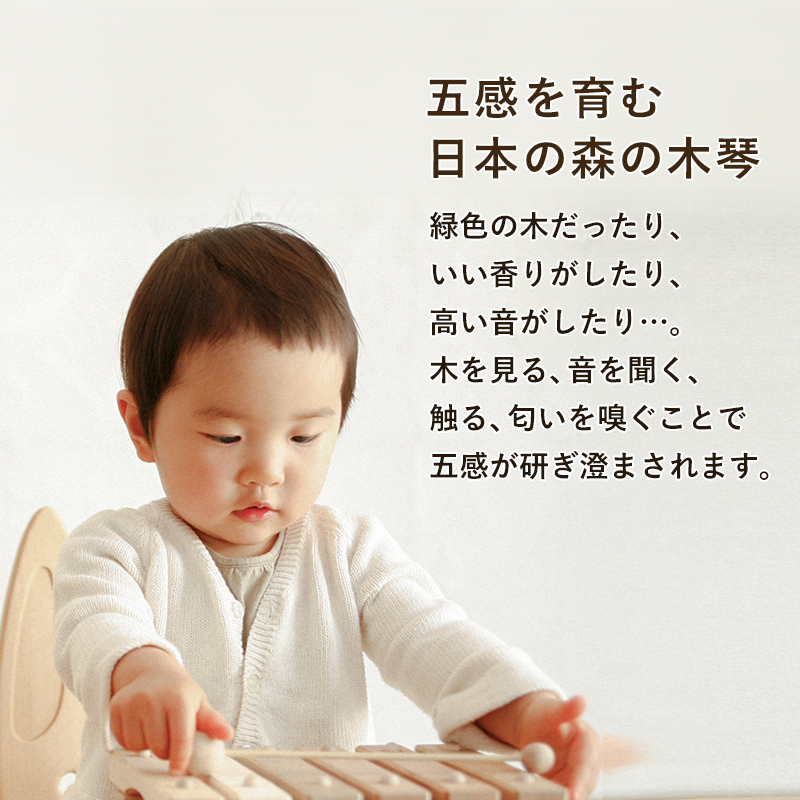 2歳 3歳 ヨナ抜き音階 知育玩具 3歳 シロホン 出産祝い 6音階 1歳 国産 男の子 木製 木のおもちゃ 赤ちゃん 国産 知育 玩具 女の子 子供 クリスマス プレゼント ギフト 出産祝い 誕生日プレゼント お誕生日 名入れ可 小さな森の合唱団 童謡版 Renewal 木琴 楽器