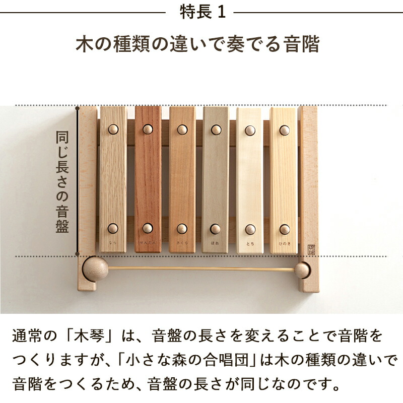 名入れ可 小さな森林地のコーラス隊 琉球変種 Renewal 樹形図琴 インスツルメント ベビー 玩物 国産 レラ抜き音階 6音階 シロフォン 1年紀 2歳 3歳 知育 知育玩弄物 木のおもちゃ 木製 玩具 坊や 娘 お子さん 子供 付与 戴物 お産祭礼 産れる日 Acilemat Com