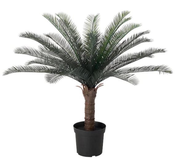 Ikea フェイカ人工観葉植物 室内 屋外用 Ikeaで素敵な暮らしを フェイカ人工観葉植物 ソテツ New New Ikea 19 造花 人工観葉植物 Cm104 103 13 日本オアシス株式会社 イケアfejka