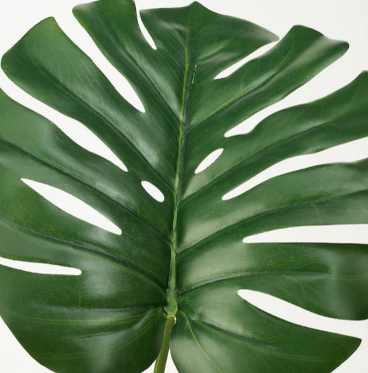 楽天市場 New Ikea イケアfejka フェイカ人工観葉植物 室内 屋外用 モンステラ 19 Cm403 952 93 日本オアシス株式会社 楽天市場 New Ikea イケアfejka フェイカ人工観葉植物 室内 屋外用 モンステラ 19 Cm403 952 93 日本オアシス株式会社