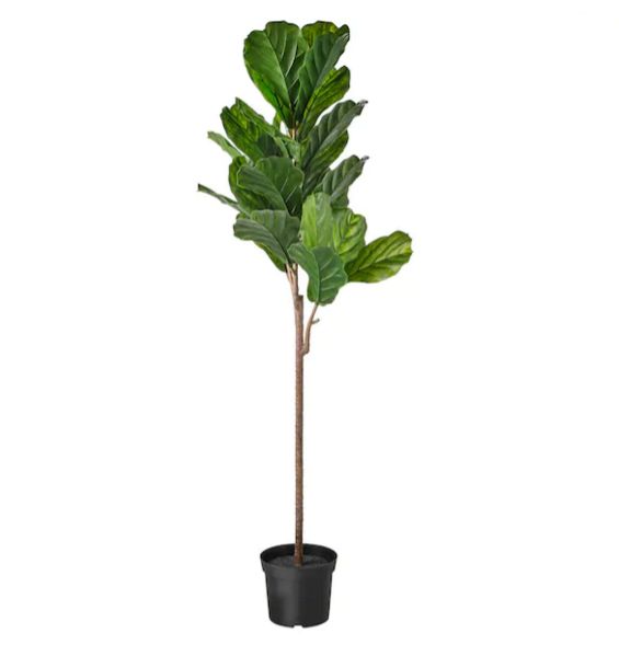IKEA イケアFEJKA フェいか人工観葉草木, 室内/屋外用 fiddle-leaf fig, 19 糎403.594.26