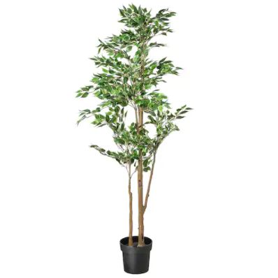 楽天市場】IKEA イケア FEJKA フェイカ人工観葉植物, 室内/屋外用