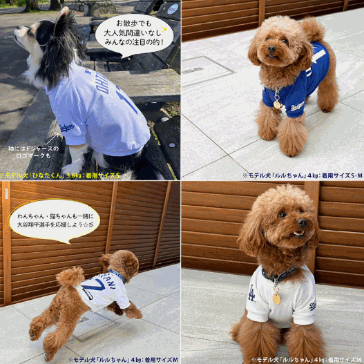 MLB公認ドジャース 大谷翔平選手モデルTシャツ 【カラー：ホワイト・ブルー】 【サイズ各種】　ホワイト XL 犬猫用 ペット用品 犬猫用品 ファンタジーワールド おやつ フード 犬猫用フード アパレル シニアサポート リード お出かけ用品