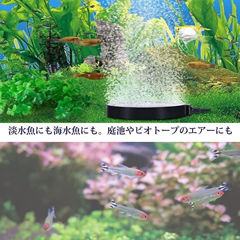 送料込み エアストーン エアレーション エアポンプ 熱帯魚 淡水 アクアリウム あみ水族館 アミ ブラインシュリンプ 水槽ミジンコ 海水 用