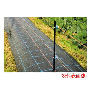防草シート アグリシート 4m×100m SG1515 日本ワイドクロス 防草・多目的用 シルバーグレー【個人宅配送不可】|オアシスプラス