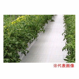 防草居敷き ホワイトアグリシートR 2m×100m BW2415 日本広々とした差し交わす 防草・多役立つこと用 黒いこと／白いこと【人間宅送りとどける不可】