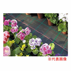 防草腰掛け 抗菌アグリ腰掛け 3m×100m BK1515 日本広広としたはりつけ台 防草・多役立つこと用 黒いこと【人間宅送りとどける不可】