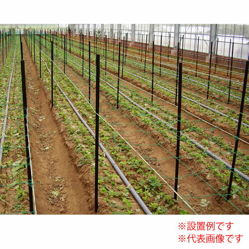 楽天市場】農業用支柱 コンポーズ 10本×10(100本)セット φ20×1.5
