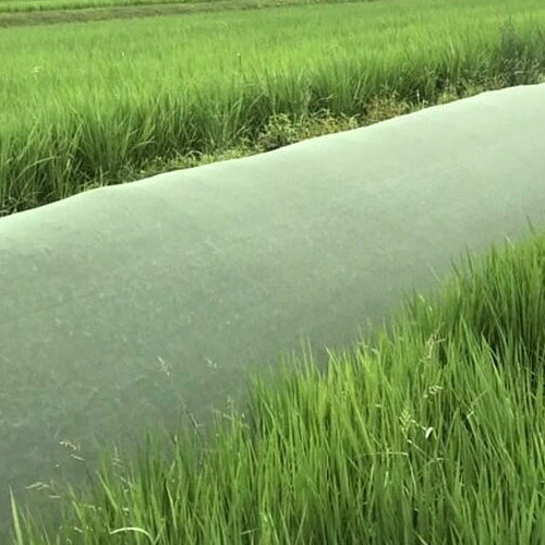 雑草抑制おまかせネット 1m×50m 緑 1巻 耐候年数約8年 傾斜地専用|オアシスプラス