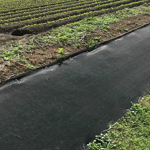 雑草抑制おまかせネット 1m×50m 黒 1巻 耐候年数約8年 傾斜地専用|オアシスプラス