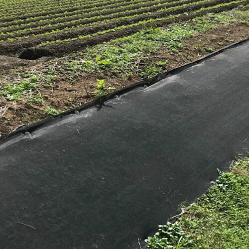 雑草押さえ付けるおまかせサイバー空間 2m×50m 黒 1巻 耐候年数約8年 傾斜地専用
