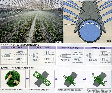 楽天市場 潅水チューブ エバフローa 三井化学 オアシスプラス