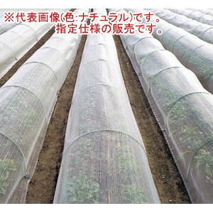 防虫ネット(防虫網) サンサンネット N3800 4.0x100m 日本ワイドクロス 目合2x4mm 透光率95% ナチュラル【営業所留めのみ】|オアシスプラス