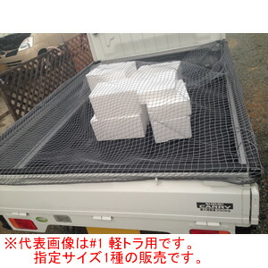 貨物自動車荷台取りまかなうサイバー空間 #3 小型貨物自動車用 2.7m*3.5m 日本の首都戸張 予防医学ダンス楽隊嘱する
