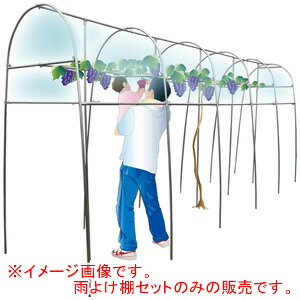 グレープの雨よけ棚書き割り 南栄加工【受注生み出すこと品】【地方別乗り賃】【取り引き所打ち切り可】