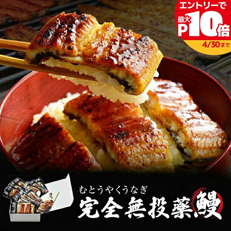 【最大P10倍】鹿児島県産 うなぎ蒲焼き 約65g×10パック 16パック 鰻師 【ギフト対応】 【メッセージド無料】 たっぷり うなぎ 【完全無投薬】 誕生日 贈り物 国産 グルメ プレゼント 誕生日プレゼント 食べ物 海鮮 ギフト 小浜海産物