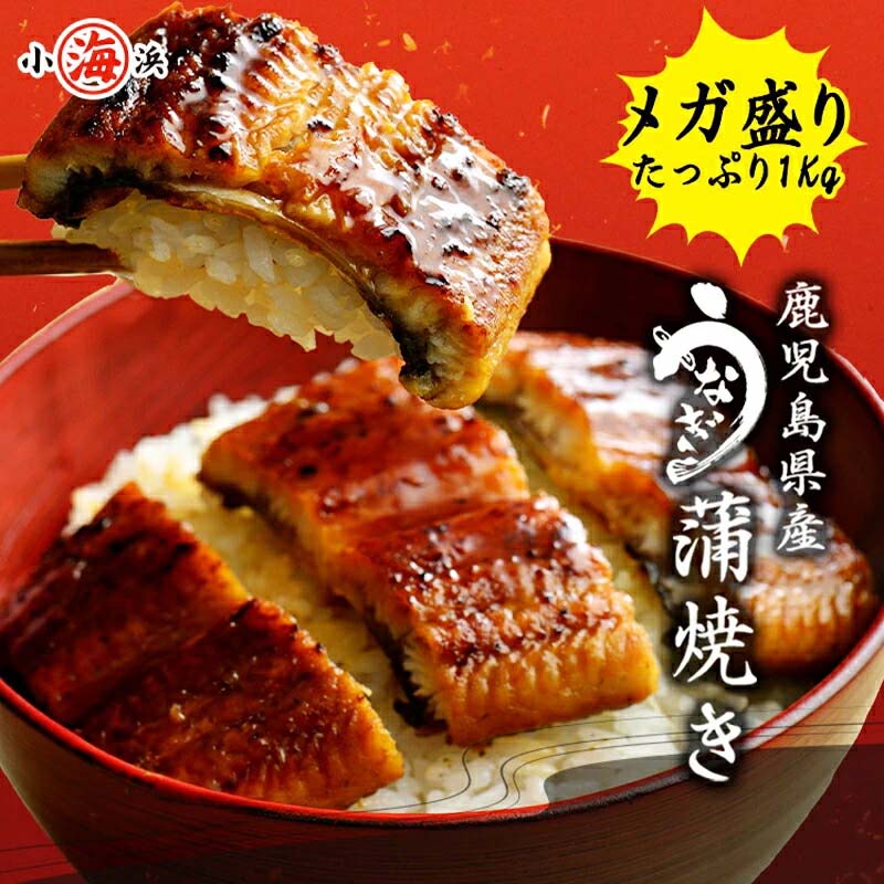 訳あり メガ盛り たっぷり 約1kg 鹿児島県産 鰻師 うなぎ蒲焼き うなぎ蒲焼き (140g×7尾) 誕生日 贈り物 国産 グルメ プレゼント お中元 中元 土用 丑の日 誕生日プレゼント 食べ物 海鮮 ギフト 小浜海産物|小浜海産物 店