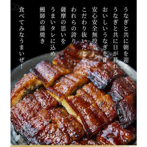 最終決算 鹿児島県産 うなぎ蒲焼き 約65g×10パック ギフト プレゼント 鰻師 敬老の日 誕生日 贈り物 たっぷり10パック fucoa.cl