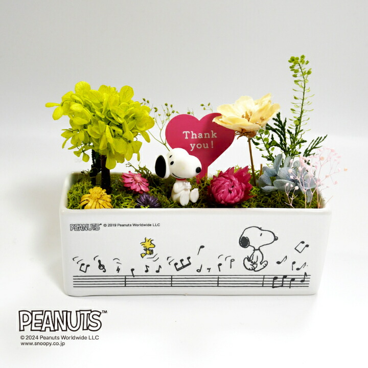 スヌーピーフォレスト in bloom 75周年 楽天市場】【公式ライセンス商品】スヌーピー リトルガーデン