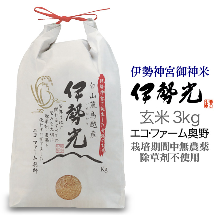 【楽天市場】令和5年度産 イセヒカリ5kg 白米or5分付き 石川県白山