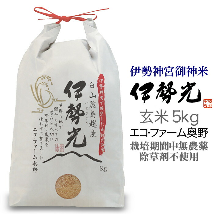 【楽天市場】令和5年度産 イセヒカリ2kg 玄米 石川県白山市産 エコファーム奥野三重県伊勢神宮御神米 奇跡の米  伊勢光(いせひかり)気候変化に強く、栽培期間中無農薬・除草剤不使用食味値が平均80以上の美味しいお米、心