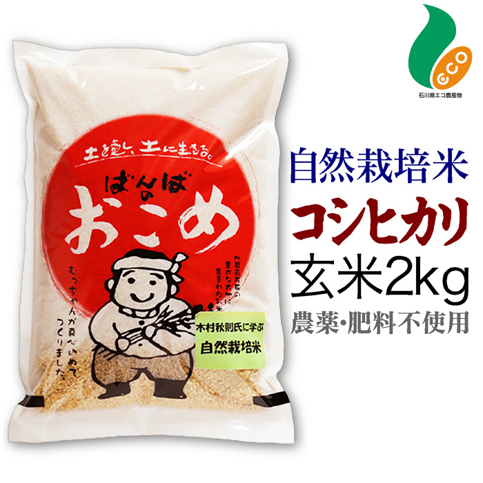 楽天市場】令和5年度産 自然栽培米 コシヒカリ 玄米 5kg 送料無料米