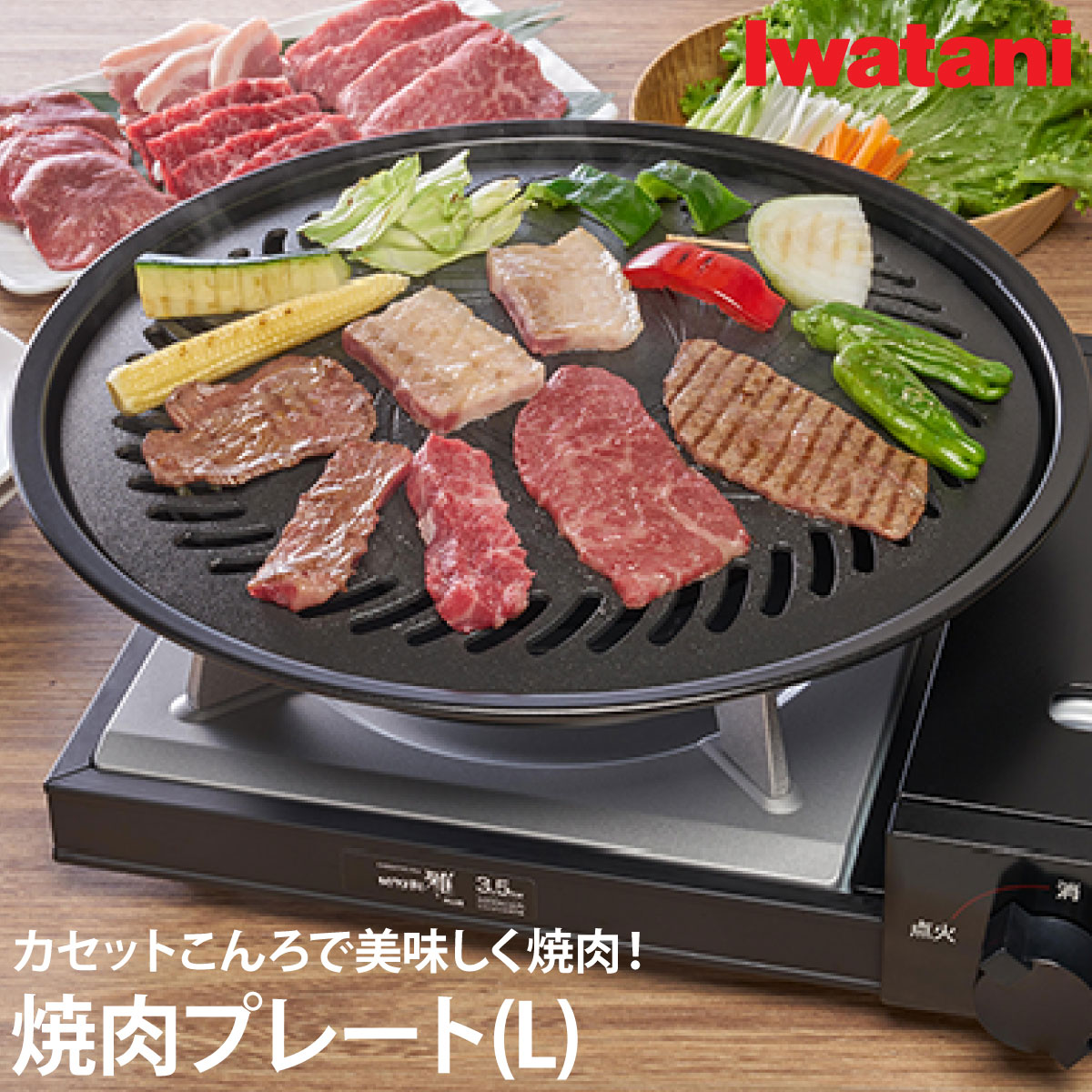 楽天市場】【在庫処分！超特価！】ファイヤーサイド