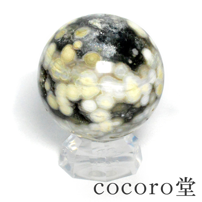 楽天市場】オーシャンジャスパー エッグ 卵型 一点物 マダガスカル産