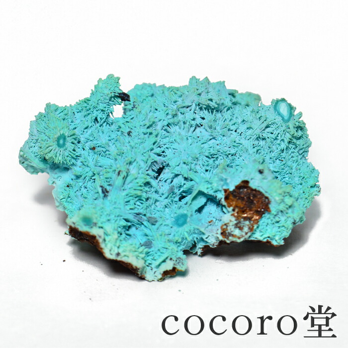 楽天市場】クリソコラ ジェムシリカ 原石【クリソコラカルセドニー