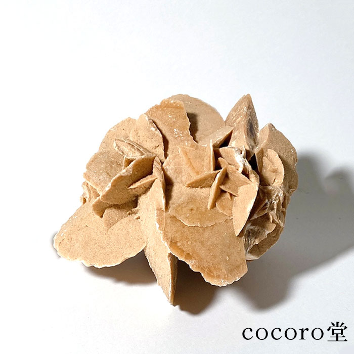 砂漠の薔薇(石）アルジェリア産 楽天市場】砂漠のバラ （デザートローズ） 赤 （アルジェリア産