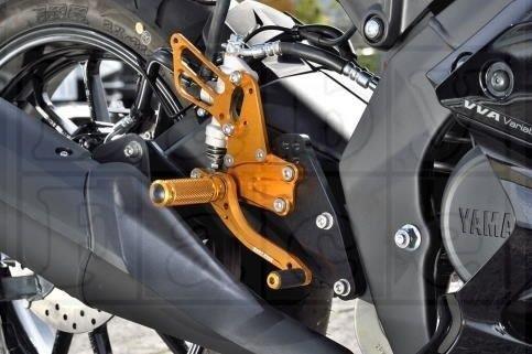 BABYFACE ベビーフェイス YZF-R15 17 レースコンセプトステップキット ゴールド