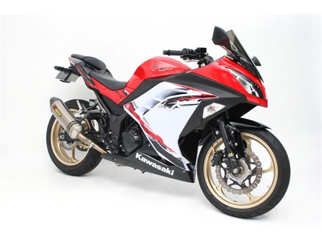要納期確認 GALE SPEED アクティブ R 400-17 GLD [TYPE-GP1S] 中空ハブ NINJA250 13-17/R 08-12/SL 15-16/Z250 13-17 28875171