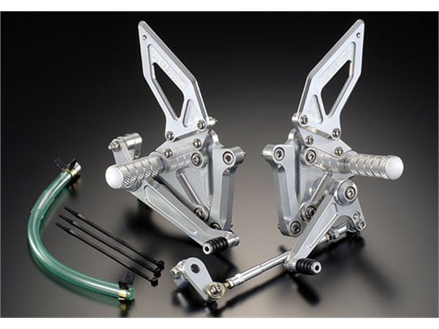 アグラス バックステップ 6P NSF100 (312-105-000)