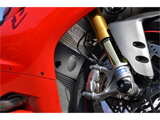 アグラス ラジエターコアガード Bタイプ ロゴ無 1199 Panigale (309-559-B00)