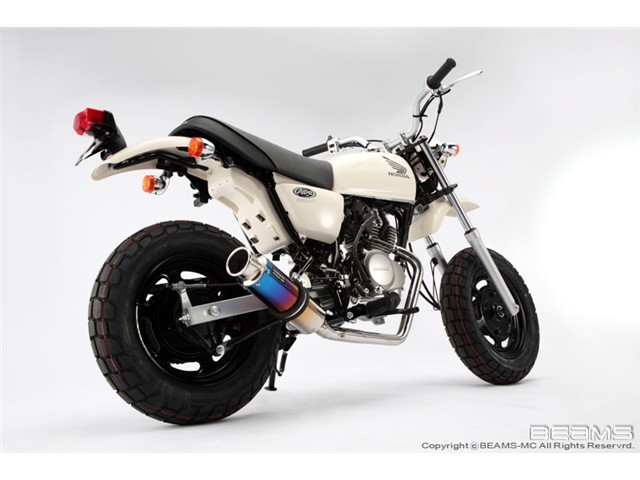 APE100(BC-HC07) マフラー BEAMS ビームス SS300 ダウンタイプ チタン B115-09-000