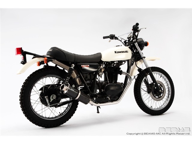 250TR Fi(JBK-BJ250F) マフラー BEAMS ビームス SS300 カーボン B411-08-000