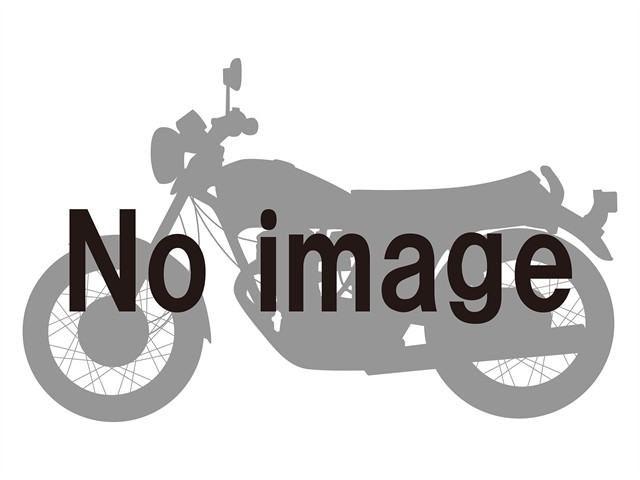 在庫有り DAYTONA デイトナ GIVI SR3104MM スペシャルキャリア 94038