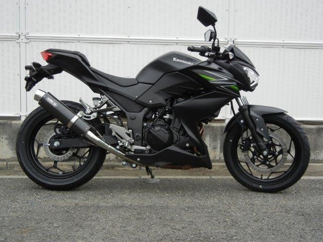 WR’S ダブルアールズ マフラー ラウンド・カーボンサイレンサー スリップオン Z250ABS BC4250JM