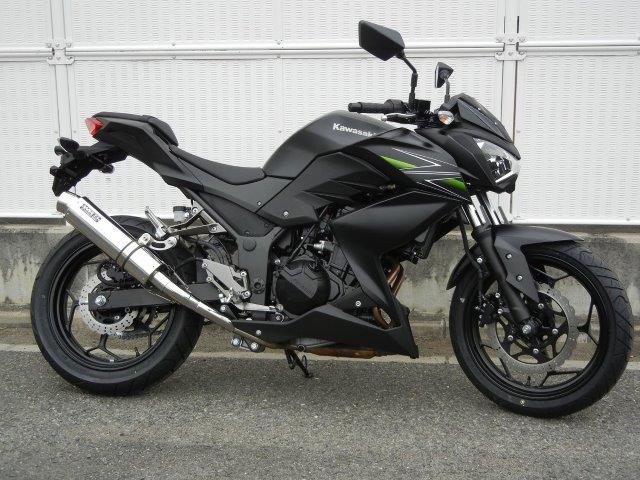 WR’S ダブルアールズ マフラー ラウンド・ステンレスサイレンサー スリップオン Z250ABS BF4250JM