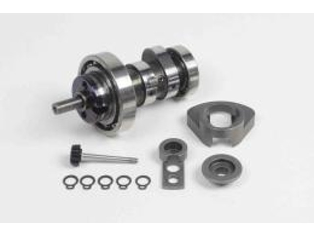SP武川 SPタケガワ 10/10Dカムシャフト(スーパーヘッド4V+R用) 01-08-0449
