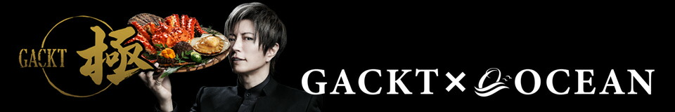 GACKT × OCEAN˺ʤγιꡣǹʼο建ʪϤOCEAN