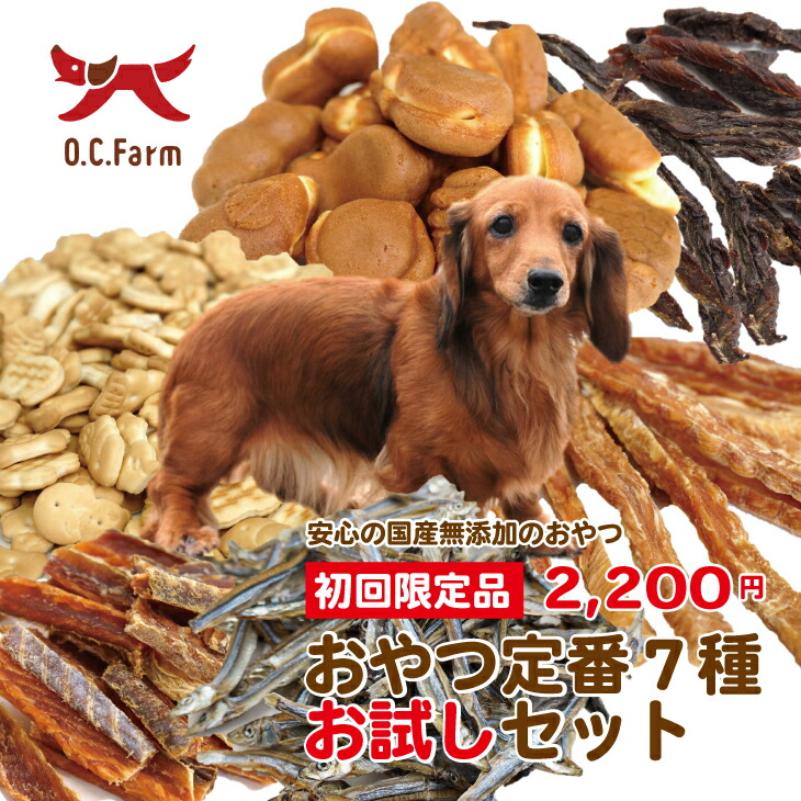 楽天市場】国産の原料使用！ 牛皮100％ガム ハーフ 40枚 〈原産国：日本〉 無添加 オーシーファーム【犬 おやつ 犬のおやつ 犬用おやつ  ドッグフード】【20P05Sep15】 : オーシーファーム【楽天市場店】